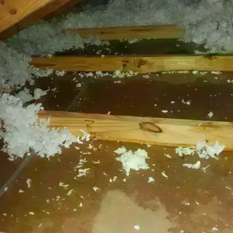 Attic Water Damage in Fallbrook, CA